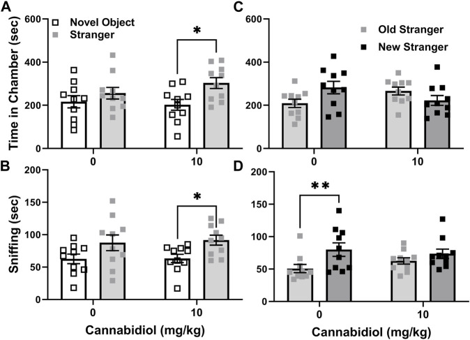 Cannabidiol (10 mg/kg) treatment enhances social interaction preferences but reduces the social novelty sniffing preference of male C57BL/6J mice. (A) Cannabidiol and vehicle treated mice did not differ in social interaction preference. However only cannabidiol treated C57BL/6J mice spent significantly more time in chambers with strangers than novel objects (*p < 0.05). (B) Cannabidiol treated mice also spent more time sniffing strangers than novel objects (*p = 0.05), while vehicle controls did not. (C) In social novelty tests cannabidiol and vehicle treated mice did not differ significantly in preference. Yet vehicle treated mice tended to prefer novel strangers in chamber dwelling time measurements (p = 0.06) while cannabidiol treated mice did not. (D) By measurements of sniffing time, cannabidiol and vehicle treated mice did not differ in social novelty preference. Within groups cannabidiol treated mice lacked preference for social novelty exhibited by vehicle treated C57BL/6J males (*p < 0.005). Sample sizes were 10 mice per group; data shown are mean ±95% CI, small squares are individual values.