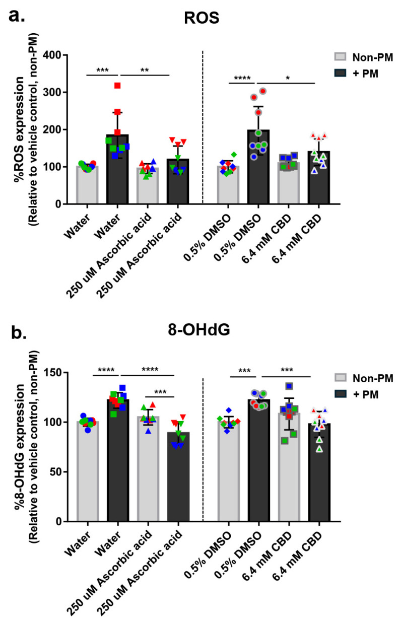 CBD reduces PM-induced oxidative stress in human ex vivo skin explants. Full-thickness human skin explants from three donors (ages 36–63 years; n = 9 tissues per group; 3 tissues per donor) were treated for 48 h with 6.4 mM CBD, 250 µM ascorbic acid, water, or 0.5% DMSO, with or without topical PM exposure (0.54 mg/cm2). (a) ROS level; (b) 8-OHdG expression were quantified and reported as % relative to the non-PM vehicle control. Each dot represents an individual explant; dot colors indicate donor origin (Red = donor 1 [59 years], Blue = donor 2 [63 years], Green = donor 3 [36 years]). Gray bars represent non-PM groups; black bars indicate PM-exposed groups. Data are shown as mean ± SD. Asterisks indicate significance: * p < 0.05, ** p < 0.01, *** p < 0.001, **** p < 0.0001 (one-way ANOVA with Bonferroni’s post hoc test).