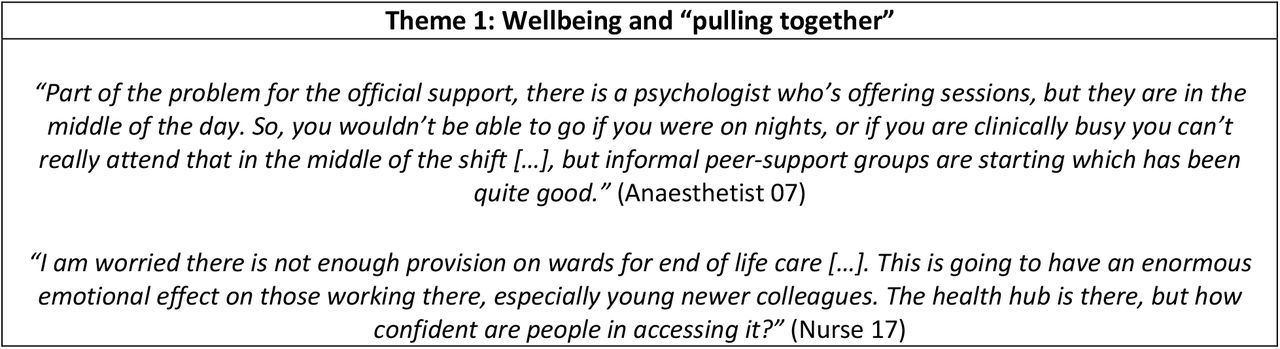 Key participant quotes illustrating the qualitative findings.