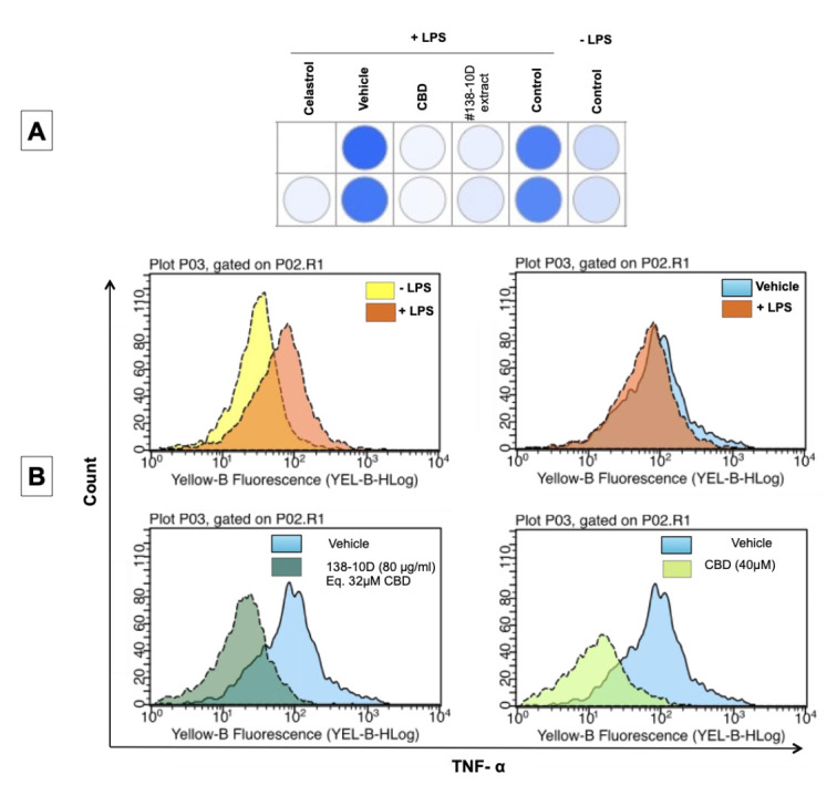 Anti-inflammatory activity assay. THP-1 monocyte cells were treated as indicated for 1 h, then were stimulated with LPS for 2.5 h followed by incubation with a TNF-α detection antibody (TNF-α secretion assay). The expression of membrane bound TNF-α was detected by flow cytometry. (A) Analysis shows the level of TNF-α release in the presence or absence of the LPS stimulator and treatments (dark blue = high level release, gray color = inhibition level of TNF-α). (B) Representative histograms of fluorescence intensity versus cell number.