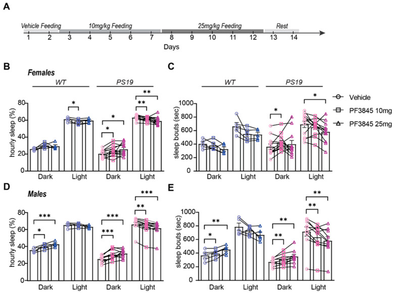 Sustained increase in AEA promotes dark phase sleep behavior in PS19 mice. (A) Experimental design. (B,C) Quantification of average hourly sleep (B) and sleep bout length (C) in female WT and PS19 mice. (D,E) Quantification of average hourly sleep (D) and sleep bout length (E) in male WT and PS19 mice. Data separated into 12 h of dark and light phases. N = 5–12/sex/genotype. * p < 0.05, ** p < 0.01, *** p < 0.001. Repeated measure two-way ANOVA with Šídák’s multiple comparisons test. Error bars indicate ± SEM.