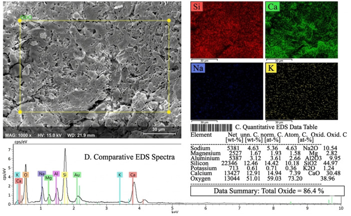 EDS image of the control sample subjected to 300 °C heat treatment.