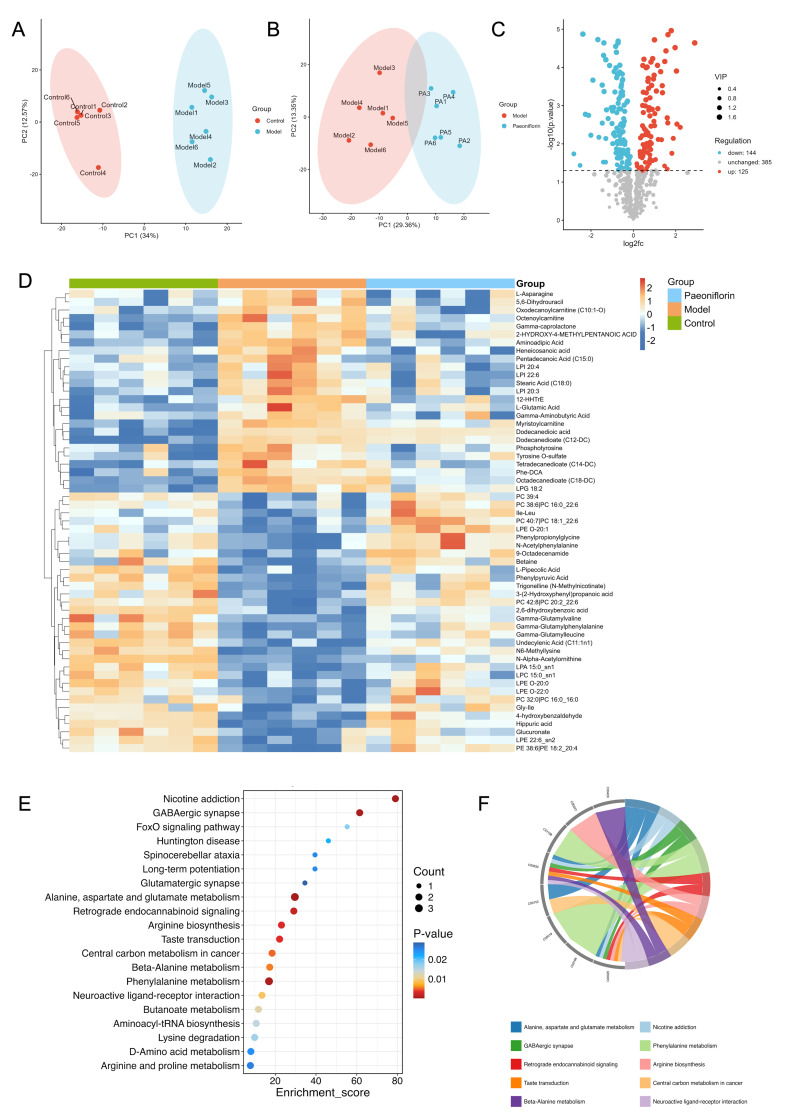 (A) Validation of the PCA between control and model groups. (B) PCA plot between control and model groups. (C) Volcano plots of the Control group vs. the Model group. (D) Clustered heatmap of DEMs reversed by paeoniflorin intervention. (E) KEGG enrichment analysis of DEMs reversed by paeoniflorin intervention. (F) KEGG chord chart of DEMs reversed by paeoniflorin intervention.