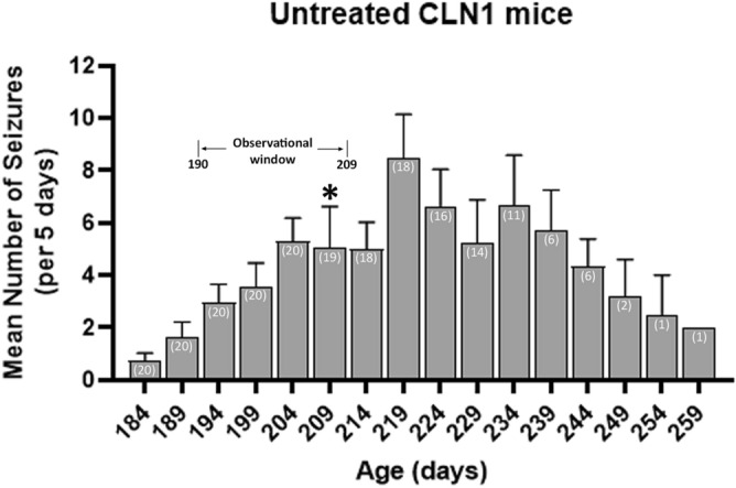 Trajectory of seizures in Cln1−/− mice. Seizure occurrences were summed into 5-day bins, and mean seizure counts (+ SEM) are shown. The first of 20 mice died at PND 209, indicated with an asterisk. Number of surviving mice is included in white text within each bar. Selected observational window is shown here, indicating the span during which seizures were measured in the cohort of mice receiving chronic treatment. Data is shown for all living mice until the last mouse died at PND 259.