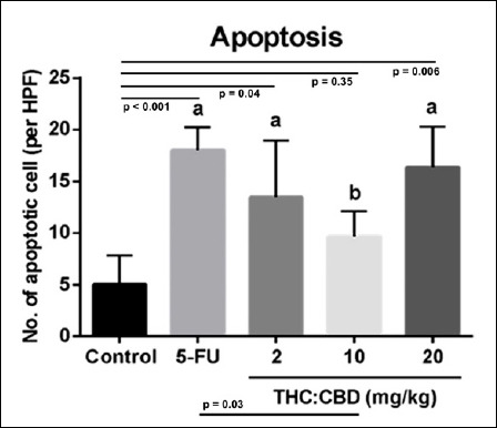 Apoptotic cell counts per high-power field in tumor tissues of mice from the negative control group, positive control group (5-FU), and cannabinoid-treated groups (THC:CBD, 1:6) at doses of 2, 10, and 20 mg/kg BW. Data were expressed as mean ± SD. a Indicates significantly different from the negative control group (p < 0.05). b Indicates significantly different from the positive control group (5-FU) (p < 0.05). 5-FU = 5-fluorouracil, THC: CBD = tetrahydrocannabinol:cannabidiol, SD = Standard deviation.