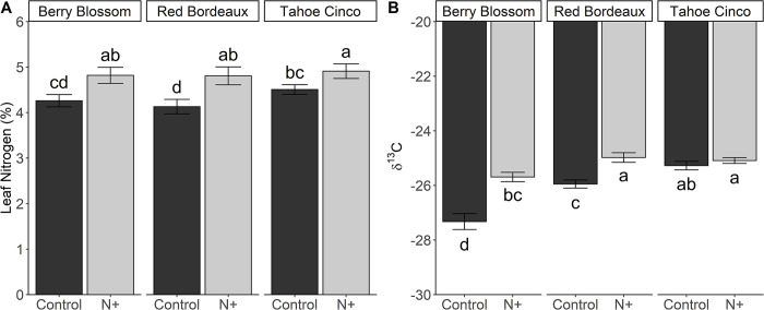Total leaf nitrogen (A) and leaf δ13C (B) for N+ (n) and control (c) treatments of cultivars Berry Blossom (BB), Red Bordeaux (RB), and Tahoe Cinco (TC) grown under field conditions. Values are mean ± standard error (A: n = 24; B: n = 24). Means followed by different letters are statistically different at P<0.05. (A) N treatment P<0.001, Cultivar P<0.014. (B) N treatment P<0.001, Cultivar P<0.001, N treatment x Cultivar P<0.001.