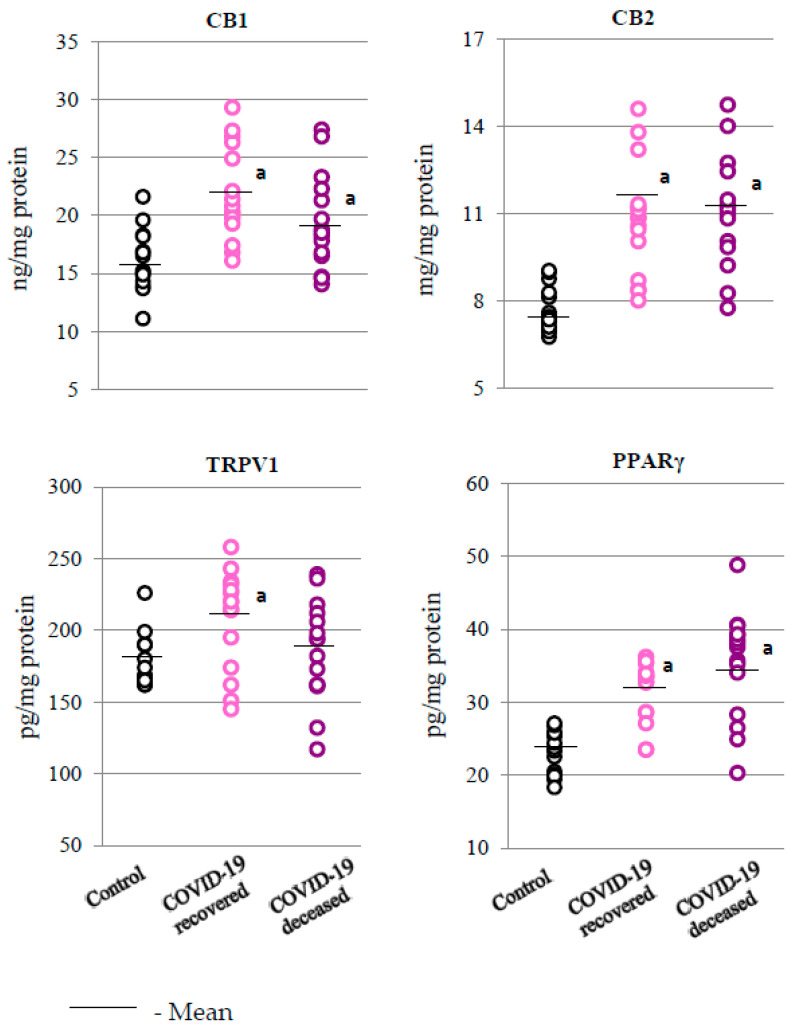 Levels of receptors involved in oxidative and inflammatory processes—cannabinoid receptors 1 and 2 (CB1 and CB2); transient receptor potential cation channel subfamily V member 1 (TRPV1); and peroxisome proliferator-activated receptor gamma (PPARγ)—observed in the granulocytes obtained from recovered (n = 15) and deceased COVID-19 patients (n = 15), as well as from persons from the control group (n = 15). The data points represent the individual values per group: a—significantly different from control group, p < 0.05; x—significantly different from recovered COVID-19 patients, p < 0.05.