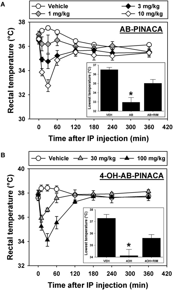 (A) Effects of intraperitoneal administration (i.p.) of vehicle (open circles), 1.0 mg/kg (gray diamonds), 3.0 mg/kg (black diamonds) or 10.0 mg/kg (open diamonds) AB-PINACA on rectal temperature (in°C) as a function of time. Points represent group means, ±SEM, and any points without error bars indicate that the variability is contained within the point. Inset – Lowest rectal temperatures recorded following injection of vehicle, 10.0 mg/kg AB-PINACA, or 10.0 mg/kg rimonabant administered 60 min before 10.0 mg/kg AB-PINACA. Bars represent group means, ±SEM, and asterisks represent significant differences from vehicle. The asterisk in the panel A inset indicates that the hypothermic effect produced by AB-PINACA is significantly different (P < 0.05) from that observed following injection of vehicle and from that observed following administration of rimonabant with AB-PINACA. (B) Effects of vehicle (open circles), 30.0 mg/kg (gray triangles) or 100.0 mg/kg (black triangles) 4OH-AB-PINACA on rectal temperature (in°C) as a function of time. All graph properties as described in Figure 1. Inset – Lowest rectal temperatures recorded following injection of vehicle, 100.0 mg/kg 4OH-AB-PINACA, or 10.0 mg/kg rimonabant administered 60 min before 100.0 mg/kg 4OH-AB-PINACA. All graph properties as described in Figure 1. The asterisk in the panel B inset indicates that the hypothermic effect produced by 4OH-AB-PINACA is significantly different (P < 0.05) from that observed following injection of vehicle and from that observed following administration of rimonabant with 4OH-AB-PINACA.