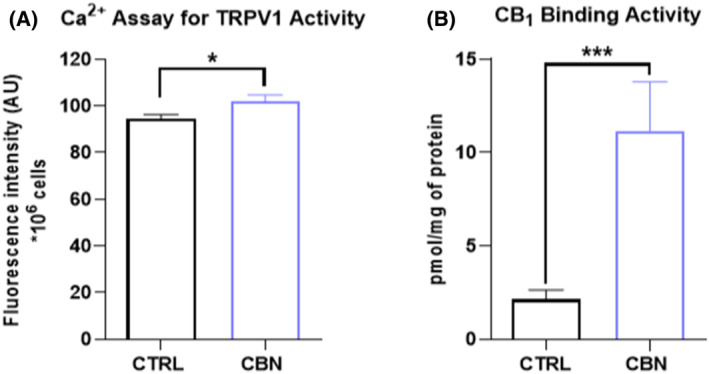 (A) Intracellular Ca2+ release triggered by capsaicin (a selective agonist of TRPV1) in HaCaT cells following 24 h treatment with 2.5 μM CBN. Data are means ± SEM of three independent experiments (n = 3). Statistical analysis was performed using an unpaired t‐test (*p < 0.05 vs. control). (B) CB1 binding activity in HaCaT cells following 24 h treatment with 2.5 μM CBN. Data are the mean ± SEM of three independent experiments (n = 3). Statistical analysis was performed using an unpaired t‐test (***p < 0.001 vs. control).