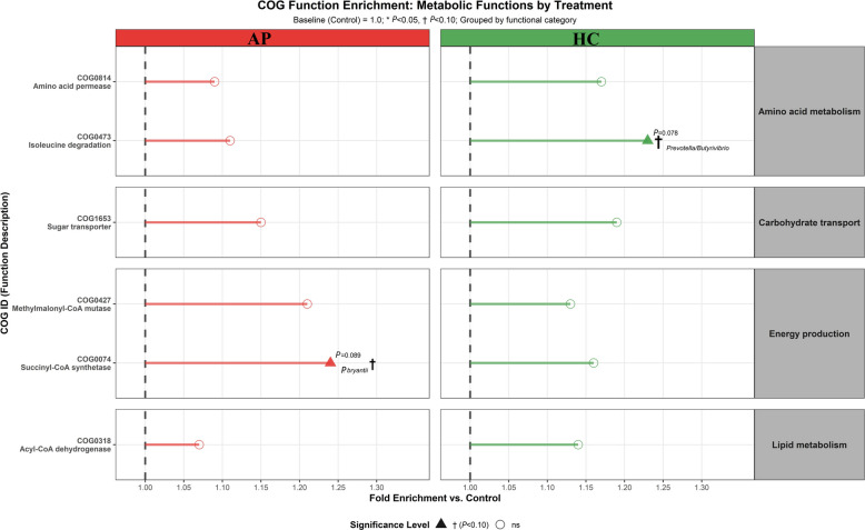 Snake plot illustrating Clusters of Orthologous Groups (COG) functional enrichment across metabolic categories under dietary treatments. Panels separate AP and HC effects by functional category. Marginally significant (P < 0.10): AP enriched COG0074 succinyl-CoA synthetase (1.24 ×, Prevotella bryantii); HC enriched COG0473 isoleucine degradation (1.23 ×, Prevotella/Butyrivibrio). Most functions showed modest, non-significant enrichments. Apple Pomace (AP) red color, Hempseed Cake (HC) green color. The y-axis shows fold change vs. Control. Microbial labels are reported at the lowest resolved rank available (species where resolved; otherwise, genus-level). Treatment colors are consistent across all figures (Control, AP, HC) to ensure visual comparability