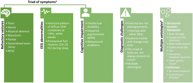 Triad of symptoms characteristic of Lennox-Gastaut syndrome (LGS), diagnostic challenges and aetiology. aThe characteristic LGS EEG pattern with slow SSW (Fig. 1) is a key diagnostic criteria. In contrast, cognitive impairment (intellectual disability and associated behavioural problems) is not always present at the outset of LGS and therefore this part of the ‘triad’ is not always included in the diagnostic criteria. bBrain damage can be the result of hypoxia at birth or head injuries, among others. DEEs developmental and epileptic encephalopathies, EEG electroencephalogram, NCSE non-convulsive status epilepticus, SSW slow spike wave, TSC tuberous sclerosis complex