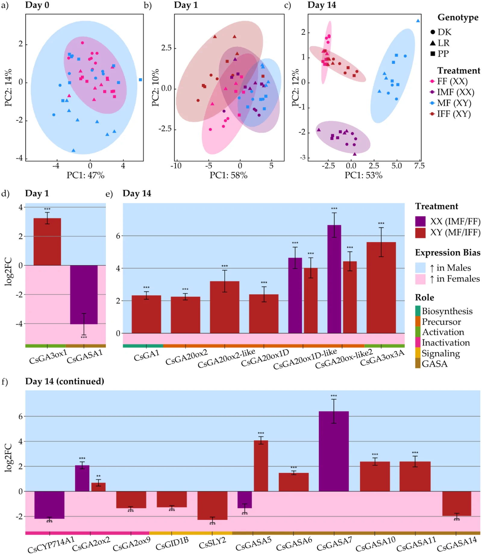 Panel a shows a PCA scatter plot for Day 0 with points representing different genotypes and treatments, panel b for Day 1, and panel c for Day 14, each with colored ellipses around clusters. Panels d, e, and f present grouped bar graphs of gene expression (log2 fold change) for selected genes on Day 1 and Day 14, color-coded by treatment, expression bias, and gene role, with significance indicated by asterisks. A legend identifies genotype, treatment, expression bias, and gene function roles.