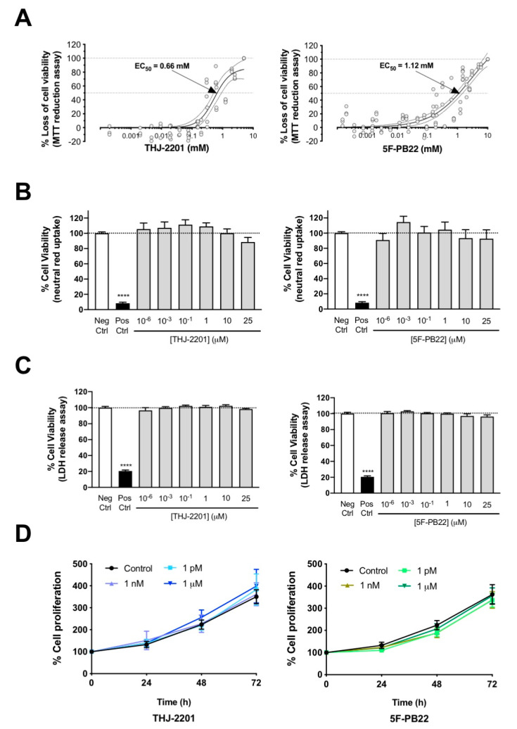 Cell viability and proliferation assessed in NG108-15 cells exposed to either THJ-2201 or 5F-PB22. Distinct biomarkers of cell viability were determined after 24 h-exposure at a range of drug concentrations described in Materials and Methods. (A) Metabolic activity, assessed by the 3-(4,5-dimethylthiazol-2-yl)-2,5-diphenyltetrazolium (MTT) reduction assay. Each concentration was tested in triplicate in four independent experiments. EC50 is the drug concentration that induces half-maximal response (i.e., 50% effect); (B) Lysosomal integrity, analyzed by the neutral red uptake assay. Each bar represents the mean ± SEM, for at least six independent experiments, performed in duplicate. **** p < 0.0001, compared to the control (0.1% DMSO), using an unpaired, two-tailed t-test. No statistically significant differences were observed for any of the SC concentrations tested, using an one-way ANOVA, followed by Dunnett’s post-test; (C) Membrane integrity, evaluated by the lactate dehydrogenase (LDH) release assay. Each bar represents the mean ± SEM, for at least six independent experiments, performed in duplicate. **** p < 0.0001, compared to the control (0.1% DMSO), using an unpaired, two-tailed t-test. No significant differences were noted for any of the SC concentrations tested (one-way ANOVA, followed by Dunnett’s post-test). (D) Cell proliferation indicated by the sulforhodamine B assay, followed drug exposure up to 72 h. For each concentration, the mean ± SEM for at least three independent experiments is represented. No statistically significant differences were found between the different concentrations shown and the respective controls, for each time point (one-way ANOVA, followed by Dunnett’s post-test).