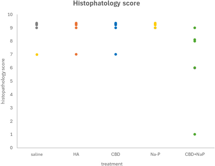Semi-quantitative histopathological scores of distal colon sections on Day 11. Data are presented as mean ± SEM. The CBD + Na-P group showed numerically lower scores; differences did not reach statistical significance