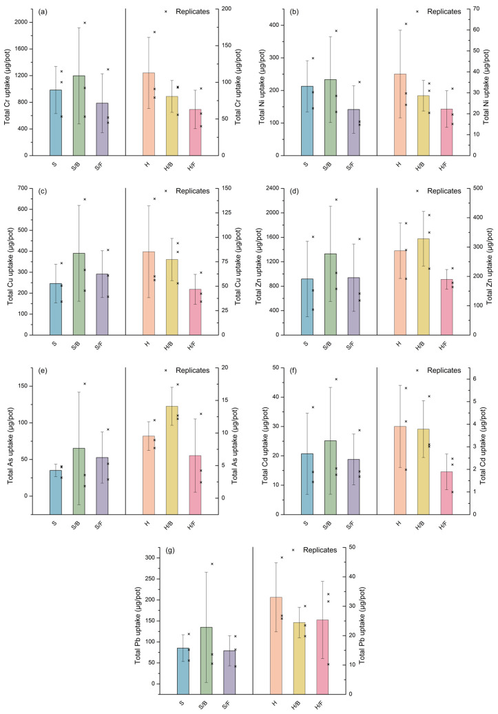 Total uptake of (a) Cr, (b) Ni, (c) Cu, (d) Zn, (e) As, (f) Cd, and (g) Pb per pot across all investigated treatments. Sorghum and hemp treatments are plotted against the left and right y-axes, respectively. Bars represent mean values (n = 3) ± SD, with individual replicates shown as cross marks.