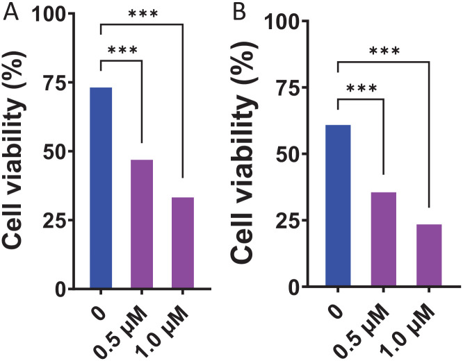 Dose and time dependent cytotoxic effect of BRF1A on papillary thyroid cancer cells. Cell viability of K1 thyroid cancer cells measured with trypan blue after. (A) 24 hours. (B) 48 hours. Data represents triplicate experiments and expressed as mean ± SD. *P < .05, **P < .01, ***P < .001 versus control (0.1% DMSO). Blue bars represent the control group, while purple bars represent the BRF1A treated samples.
