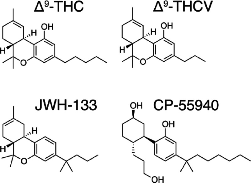 Structures of Δ9-THC, Δ9-THCV, JWH-133, and CP-55940.