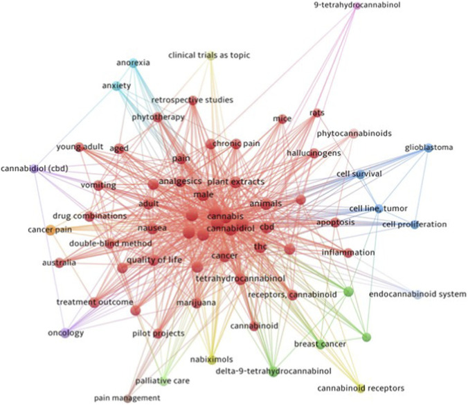 Network diagram visualizing keyword co-occurrences related to cannabinoids in medical research. Major nodes like “cannabis,” “cannabidiol,” “pain,” and “cancer” are central, with differently colored clusters indicating related topics such as anxiety, oncology, glioblastoma, and cannabinoid receptors. Lines represent relationships between keywords.