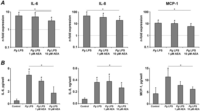 The effect of AEA on the production of pro-inflammatory mediators in hPdLCs in response to stimulation with P. gingivalis LPS.hPdLC were stimulated with P. gingivalis LPS in the presence or in the absence of AEA for 24 h, and the production of pro-inflammatory mediators was measured on gene and protein levels by real-time PCR (A) and ELISA (B) respectively. A – Changes in the gene expression levels of IL-6, IL-8, and MCP-1 calculated by 2−ΔΔCt method taking non-stimulated cells as a reference (2−ΔΔCt = 1) and β-actin as a house-keeping gene. B – Content of pro-inflammatory mediators in the conditioned media measured by ELISA. Each value represents the mean ± s.e.m of 4 independent experiments. #Means were significantly compared to the control group, and tested with analysis of variance (P<0.05). *Means were significantly different between groups, tested with analysis of variance (P<0.05).