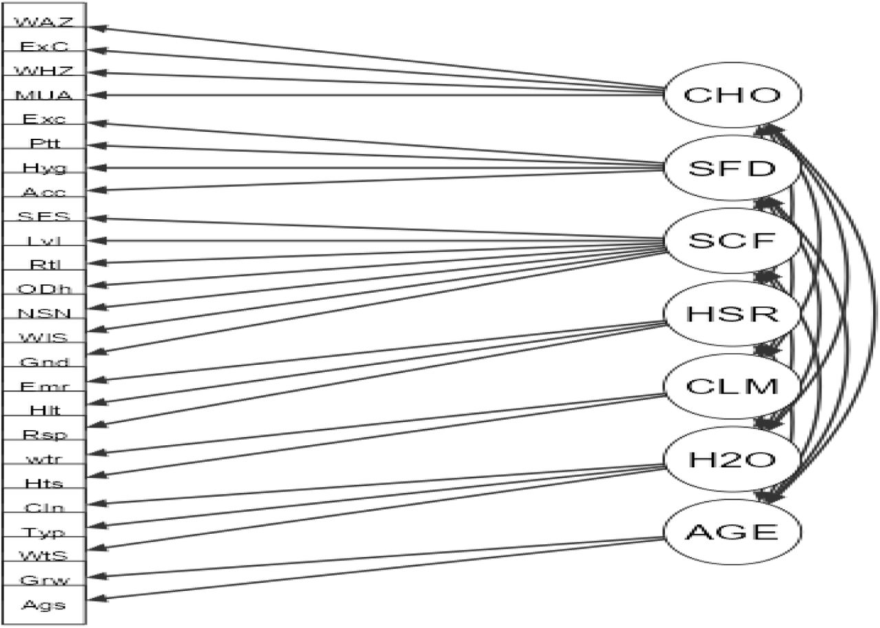 Confirmatory Factor Analysis-Path Diagram