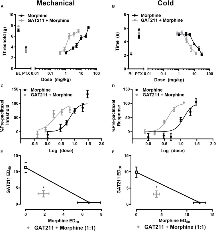 GAT211 synergizes with the opioid analgesic morphine in suppressing paclitaxel-induced allodynia. Co-administration of GAT211 produces a leftward shift in the dose-response curves of morphine to reduce paclitaxel-induced mechanical (A,C) and cold (B,D) allodynia. Isobolographic analysis revealed a synergistic interaction of GAT211 with morphine in suppressing paclitaxel-induced hypersensitivities to both mechanical (E) and cold (F) stimulation when administered in a 1:1 ratio. Data are expressed as mean ± SEM (n = 6 per group) *P < 0.05 two-tailed t-test vs. theoretical additive values. #P < 0.05 vs. pre-paclitaxel values, two-way ANOVA followed by Bonferroni post hoc test.