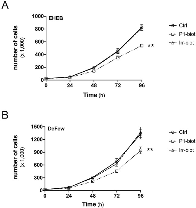 Peptide P1 inhibits B-lymphoblastoid cell proliferationRepresentative growth curves for EHEB A. and DeFew B. cells untreated (Ctrl) and treated with biotinylated peptide P1 (P1-biot, 1 μg/ml) or equimolar biotinylated irrelevant peptide (Irr-biot), added immediately after cell plating and every 24 h. Similar percentages of inhibition by biotinylated peptide P1 was observed up to 144 h of treatment in both cell lines. Data are means ±SEM of three independent experiments, each carried out in triplicate. **p <0.005 (Student's t tests).