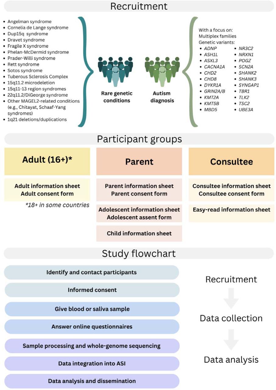 EAGER protocol summary