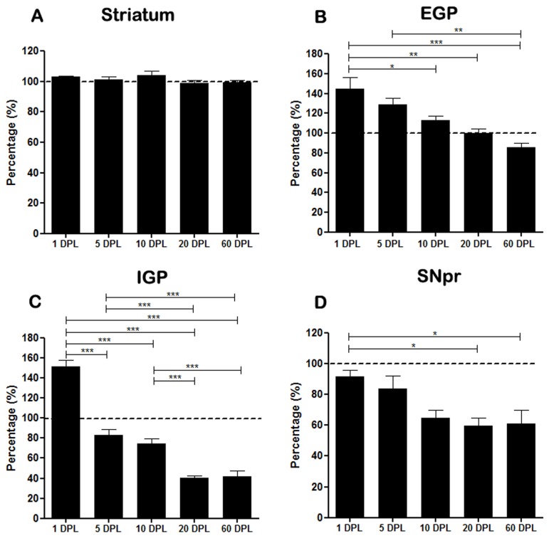 Semi-quantitative analysis of CB1 staining in basal ganglia of PD-induced rats.The quantification is represented by percentage in (A) striatum, (B) external globus pallidus (EGP), (C) internal globus pallidus (IGP) and (D) substantia nigra pars reticulata (SNpr) of rats submitted to unilateral intrastriatal injections of 6-OHDA after 1, 5, 10, 20, and 60 days post-lesion (DPL). Comparison between the percentage of experimental sides calculated from the control side to each group (dashed line). Statistical analysis by ANOVA (one way) with Tukey post-test. *p <0.05, **p<0.01 and *** p <0.001.