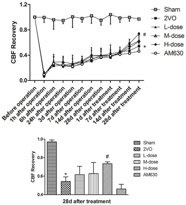 CBF monitoring results of each group. The CBF recoveries of the different groups were approximate before drug treatment, while the recoveries rised rapidly after the drug treatment. At the 28th day after drug treatment, the CBFs of rats in the high dose HPβCD/BCP treated group recovered faster than those in the 2VO group, and the AM630 group presented the slowest recovery. (*P < 0.001 vs. sham group, #P < 0.05 vs. 2VO group).