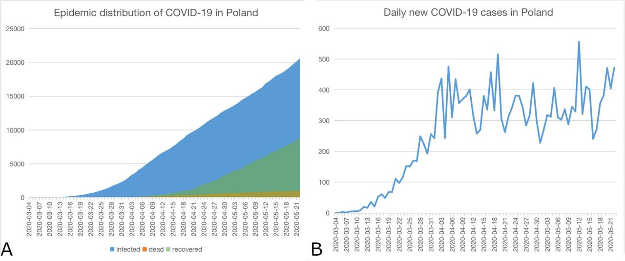 COVID-19 spread in Poland. A: epidemic distribution; B: new cases daily.