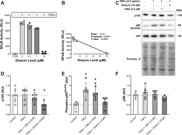 CBD does not decrease inflammatory signaling through NF-κB after TNFα treatment. (A) The transcription activity of NF-κB in control HEK293 cells and following treatment with TNFα and increasing doses of the steroidal saponin dioscin. (B) The dose–response relationship between dioscin and NF-κB activity. (C) Representative pictures of western blot analysis. Levels of (D) NF-κB p105, (E) phosphorylated NF-κB p65 (Ser536), and (F) and NF-κB p50 in C2C12 myotubes after 60 min in DM, or following treatment with TNFα (2.5 ng/mL), TNFα + CBD (2.5 μM), or TNFα + dioscin (10 μM). *p-Value <0.05 compared with the control and the TNFα condition (A), and p-value <0.05 compared with the control and the TNFα + dioscin condition (B). n=6 biological replicates. NF-κB, nuclear factor kappa B; TNFα, tumor necrosis factor α.