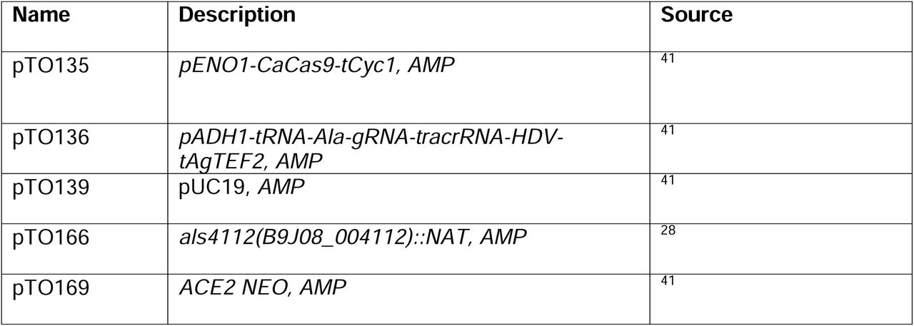 Plasmids used in this study