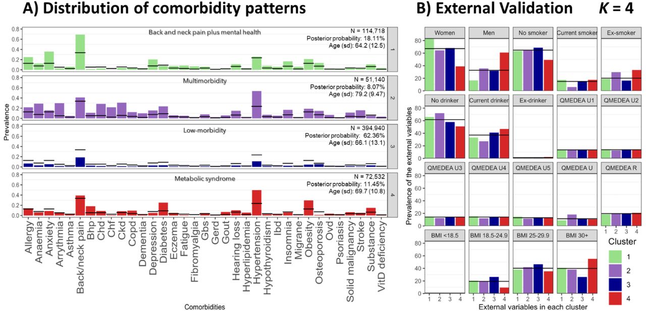 Latent Class Analysis cluster solution 4.A) Distribution of comorbidity patterns and B) External validation. Cluster colours are consistent in both sub-plots. Abbreviations: BMI, body mass index; Bhp, benign prostate hypertrophy; Chd, coronary heart disease; Ckd, chronic kidney disease; Copd, chronic obstructive pulmonary disease; Gbs, gall bladder stone; Gerd, gastroesophageal reflux disease; Ibd, inflammatory bowel disease; Ovd, other vessel diseases; Substance, substance abuse; QMEDEA, deprivation quintile index MEDEA where U is urban area (U1 is the less deprived and U5 the most), and R is rural area.
