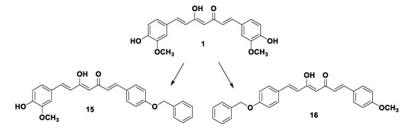 Design of curcumin analogues 15 and 16 with BACE-1 and GSK-3β inhibitory properties.