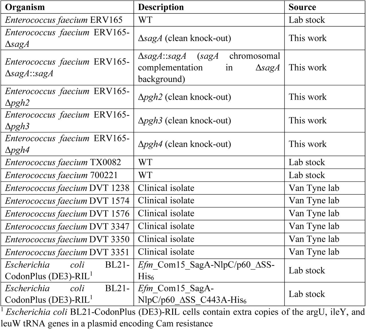 Bacterial strains used in this study.