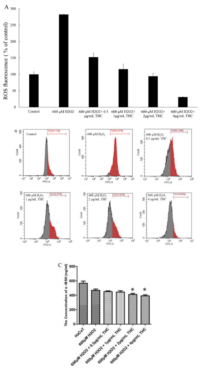 Protective role of THC on the H2O2 induced ROS levels in HaCaT. (A) The summary of ROS levels in HaCaT cells (B) Intracellular ROS levels of HaCaT were assessed by flow cytometry. (C) α-MSH levels were found in the supernatant in HaCaT, after the cells were pretreated without or with the selected concentrations of THC (0.5, 1, 2, and 4 μg/mL) for 12 h prior to the addition of H2O2. Results are expressed as mean SD (n = 3). * p < 0.05 compared to the cells treated with 600 μM H2O2 only.
