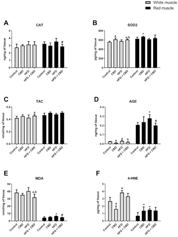 The effect of two-week cannabidiol (CBD) treatment on oxidative stress parameters, i.e., on (A) catalase (CAT), (B) superoxide dismutase 2 (SOD2), (C) total antioxidant capacity (TAC), (D) advanced glycation end products (AGE), (E) malonyldialdehyde (MDA) and (F) 4-hydroxynonenal (4-HNE), in the white and red gastrocnemius muscles in the control (standard diet) and high-fat diet (HFD) groups. The data are expressed as mean values ± SD, n = 6 in each group. a p < 0.05 indicates a significant difference: the control group vs. the examined group in the white gastrocnemius muscle; b p < 0.05 indicates a significant difference: HFD vs. HFD + CBD in the white gastrocnemius muscle. * p < 0.05 indicates a significant difference: the control group vs. the examined group in the red gastrocnemius muscle; # p < 0.05 indicates a significant difference: HFD vs. HFD + CBD in the red gastrocnemius muscle.
