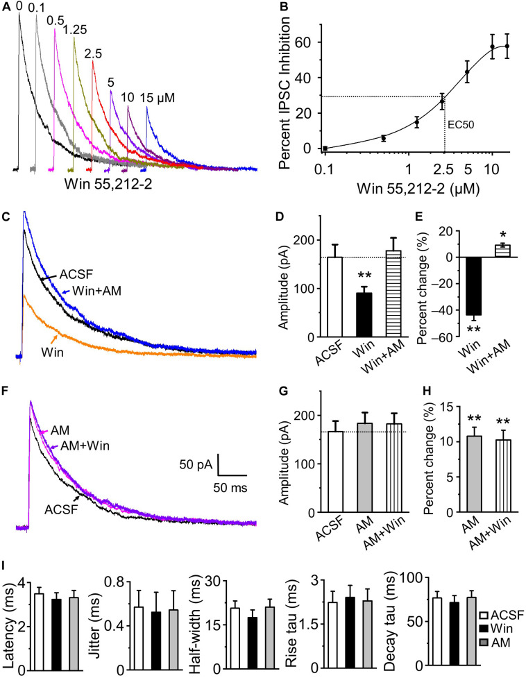 Endocannabinoids modulate the magnitude of granule cell responses to HDB GABAergic input. (A) Representative IPSC traces in the presence of bath applied Win 55,212-2 of 0 to 15 μM (0.1, 0.5, 1.25, 2.5, 5, 10, and 15 μM). (B) Group data showing dose-response curve of IPSC inhibition by WIN-55,212-2 (n = 4 for 0.1 μM to 5 other individual doses) with EC50 at approximately 2.5 μM. (C) Representative traces of IPSCs in control ACSF (black), the presence of 5 μM Win 55,212-2 (orange) and the further addition of 5 μM AM 251 (blue). (D) Group data showing activation of CB1 receptor by Win 55,212-2 decreases IPSC peak amplitude and the blocking of CB1 receptor by AM 251 reverses Win 55,212-2-induced inhibition and causes a small increase of IPSC amplitude from ACSF (n = 6). (E) Percent change of IPSC peak amplitude in the presence of 5 μM Win 55,212-2 and with the further addition of 5 μM AM 251 (n = 6). (F) Representative traces of IPSC in control (black) and in the presence of 5 μM AM 251 (magenta) and additionally 5 μM Win 55,212-2 (violet). (G) Group data showing AM 251 blockade of tonic CB1 receptor activation increases IPSC peak amplitude and further addition of Win 55,212-2 has no effect (n = 7). (H) Percent change of IPSC peak amplitude in the presence of 5 μM AM 251 and the further addition of 5 μM Win 55,212-2 (n = 7). (I) Modulation of CB1 activity does not change evoked IPSC latency, jitter, half-width, rise tau or decay tau. N = 13 for ACSF, six for Win 55,212-2 and 7 for AM 251. On all graphs, **P < 0.01 and *P < 0.05 vs ACSF.