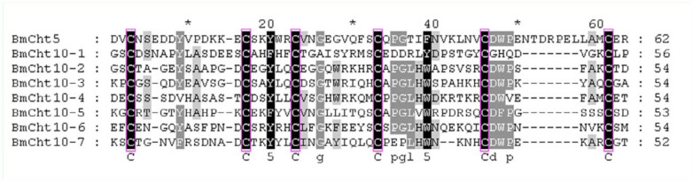 Multiple sequence alignment of CBD domains of Bombyx mori chitinase proteins. CBD domain sequences were retrieved from the identified B. mori chitinases and analyzed using the ClustalW program. The six cysteine residues are conserved among the chitin-binding domains of B. mori chitinases. High quality figures are available online.