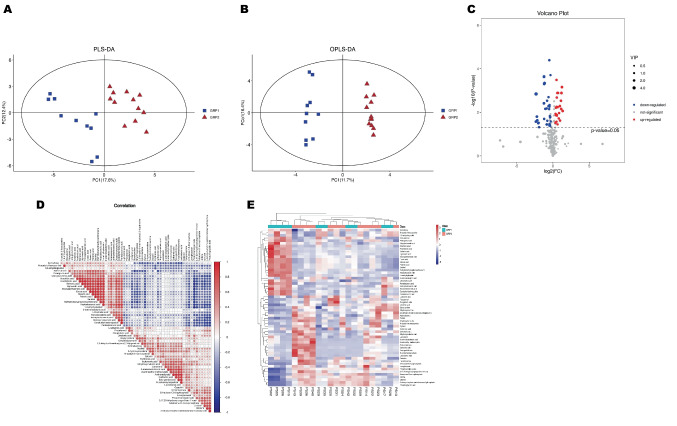 Visualization Plots of Screening Differential Metabolites by GC–MS. Scatter plots for PLS-DA (R2X = 0.384, R2Y = 0.973, Q2 = 0.716) and OPLS- DA (Q2 = 0.719, R2 = 0.96) models built from untargeted GC-MS analysis, showing separation between mOSA and sOSA patients in (A) and (B). Volcano plots of the FC (defined as FC = 1.25) and p value (defined as 0.05) for DMs between the two groups shown in (C). Red dots represent significantly upregulated (FC > 1.25) molecules and blue dots represent significantly downregulated (FC < 0.8) molecules. Correlations between the DMs demonstrated in (D). The color scale illustrates the degree of correlation and ranges from red to blue, indicating positive and negative correlations respectively. The important DMs are displayed in the heatmap of (E), with the red color indicating an increased trend and the blue color indicating a decreased trend compared to mOSA(GRP1)