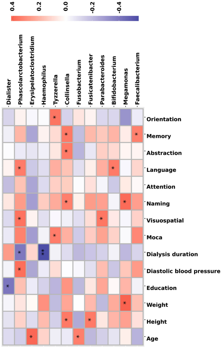 Spearman correlation analysis between the microbiota and cognitive function. Twelve of the top thirty-five bacterial genera show a significant positive correlation with cognitive function or cognitive domains (all p < 0.05)