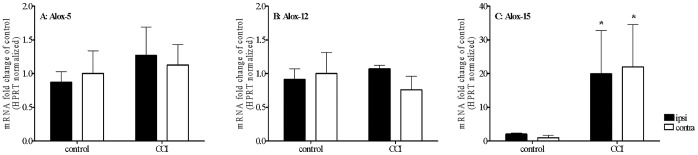 The results of qPCR analyses of LOX-15, LOX-12 and LOX-5 gene expression levels in the dorsal part of the lumbar (L5–L6) spinal cord of neuropathic rats.Tissue was dissected 7 days after the CCI. The data are presented as means251658240±251658240SEM, which represent normalized averages derived from 4–6 samples per each group. Statistical analysis was performed using a two-way ANOVA followed by Bonferroni post-test (*p<0.05).