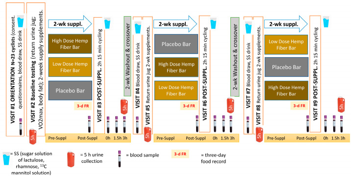 Study design. This study employed a randomized, placebo-controlled, double-blind, crossover design with three 2-week supplementation periods and 2-week washout periods.