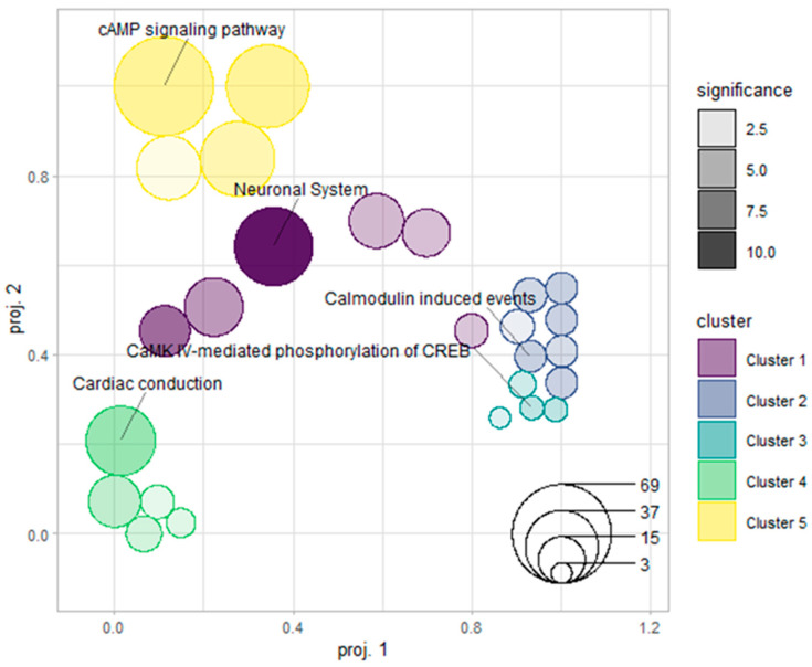 GSOAP clustering of Reactome-enriched pathways. This bubble plot displays the semantic similarity structure among enriched pathways identified from Reactome analysis. Bubble positions correspond to semantic proximity, bubble size reflects the number of genes mapped to each pathway, and grayscale shading indicates enrichment significance. Five pathway clusters were identified, with the neuronal-related cluster prominently represented in the analysis.