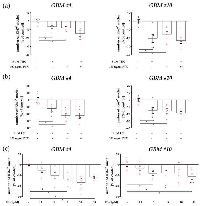 Impacts of pertussis toxin (PTX, Gαo/i inhibitor) and forskolin (FSK) on the number of Ki67+ cells in the presence or absence of THC or LPI. GBM #4 and GBM #10 were left untreated or exposed to THC (a) or LPI (b) for 24 h, resulting in a decreased number of Ki67+ nuclei. A significantly decreased number of Ki67+ nuclei was detected after stimulation with PTX alone in GBM #4 and GBM #10. When THC (a) or LPI (b) were applied after PTX pre-incubation, neither inhibitory nor additive effects were observed. In GBM #4 and GBM #10, the number of Ki67+ nuclei was reduced concentration dependently after FSK stimulation for 24 h (c). FSK was applied in an ascending concentration series of 0.1 µM, 1 µM, 5 µM, 10 µM, and 30 µM. Significant effects were measured after incubation with ≥1 µM FSK. Data are means ± SEMs of N = 3 independent experiments performed in duplicate. Each red dot represents an individual data point. −/+ indicates without/with the corresponding substance. ++ denotes that cells were pre-incubated with PTX before THC or LPI was added. Significance was set at p < 0.05. The asterisk denotes significant results regarding the respective measurement indicated by the bar.