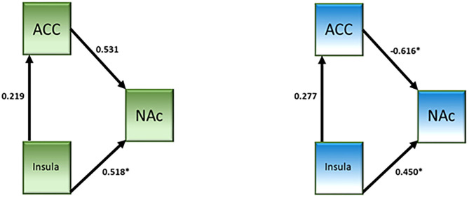 Effective connectivity network analysis results from the cannabis use group (left, green) and the control group (right, blue).