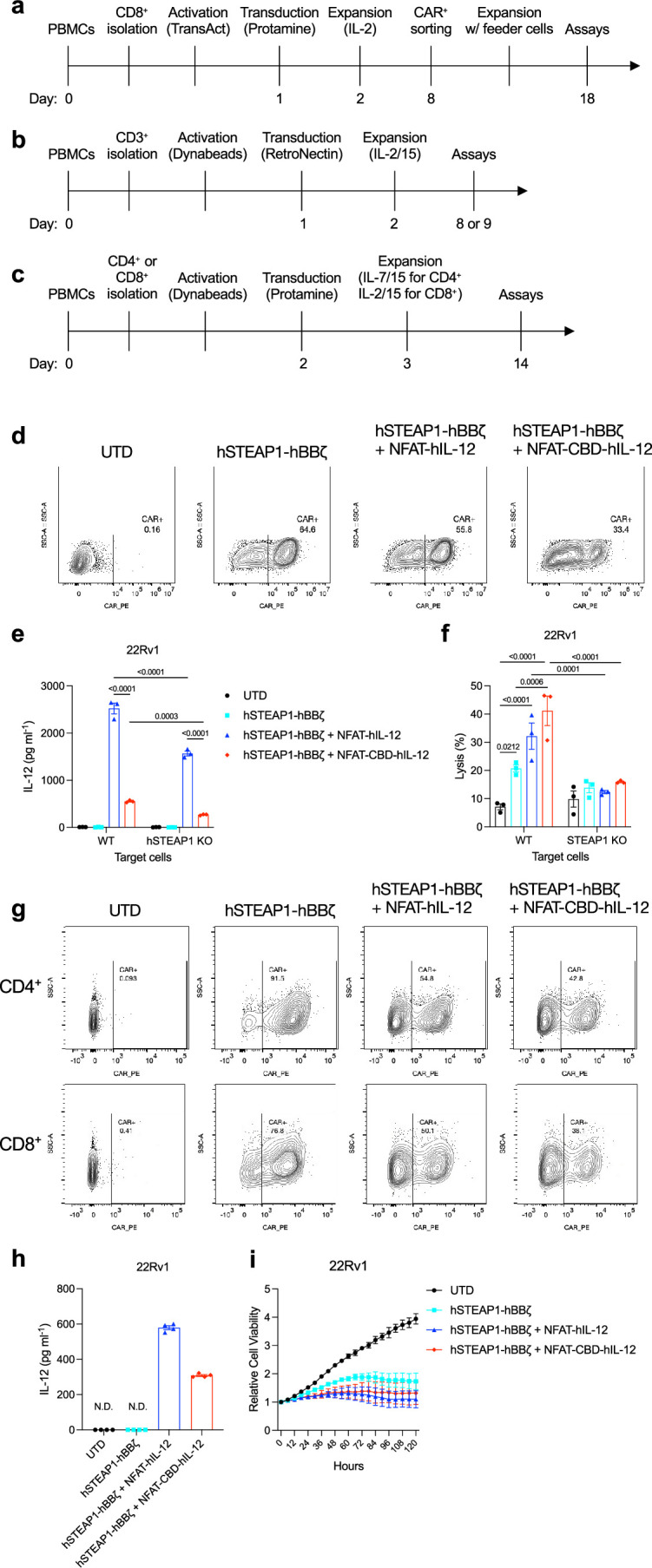 Manufacturing protocols and in vitro characterizations of primary human CAR-T cells, related to Fig. 8.(a–c) Experimental timelines for CAR-T cells used in (a) Fig. 8a–c, (b) Fig. 8d–h, Extended Data Fig. 10d-f and (c) Fig. 8i–l, Extended Data Fig. 10g-i. (d) Representative contour plots of primary human CAR-T cells stained with Biotin-goat anti-Human IgG and PE Streptavidin from two experiments. (e) Primary human CAR-T cells (50,000 CAR-T cells/well) were stimulated with 22Rv1 cells or 22Rv1 hSTEAP1 KO cells for 24 h. Secreted IL-12 variants were quantified by ELISA (technical replicates, mean ± s.e.m.). (f) 22Rv1 cells or 22Rv1 hSTEAP1 KO cells labelled with Calcein-AM were co-cultured with CAR-T cells at the Effector/Target ratio of 1:1 for 24 h. Calcein released from the target cells were quantified to calculate %target cell lysis (technical replicates, mean ± s.e.m.). (g) Representative contour plots of primary human CAR-T cells stained with Biotinylated Protein L and PE Streptavidin from an experiment. CD4 + CAR-T cells and CD8 + CAR-T cells were separately analysed. (h, i) Primary human CAR-T cells were co-cultured with 22Rv1 at Effector/Target ratio of 1:2.5. (h) IL-12 secretion from CAR-T cells (technical replicates, mean ± s.e.m.). (i) Relative cell viability of 22Rv1 target cells over time measured by fluorescence live cell imaging (n = 5 technical replicates, Mean ± s.d.). Statistical analyses were performed using (e, f) two-way ANOVA followed by Šídák’s multiple comparisons. P values are shown in figures. Source data