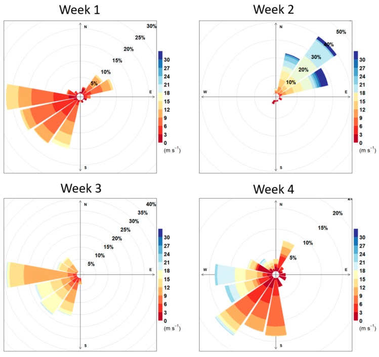 Wind roses for the four sampling sessions. Data is collected from 318 m above sea level; as such, wind speeds are generally higher than at ground level.