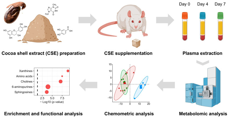A flow chart of the experimental design. This diagram outlines the steps involved in the experimental procedure for CSE supplementation analysis. Starting with the preparation of the cocoa shell extract (CSE), the chart depicts the subsequent phases, including the administration of CSE to the female rats, the collection of biological samples at defined time points, and the metabolomic analysis. The latter involves mass spectrometry-based metabolite identification, data processing, and subsequent bioinformatics and chemometric analysis, including pathway- and network-based enrichment analyses.