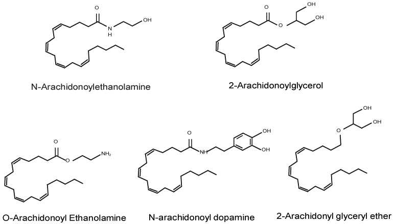 Chemical structures of endogenous cannabinoids: N-arachidonoylethanolamine (AEA, anandamide), 2-arachidonoylglycerol (2-AG), O-arachidonoyl-ethanolamine (O-AEA, virodhamine), N-arachidonoyl dopamine (NADA), and 2-arachidonyl-glyceryl ether (2-AGE, noladin ether).
